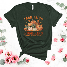  Fall Farm Pumpkins