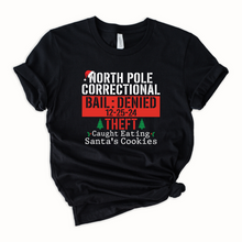 North Pole Correctional Theft