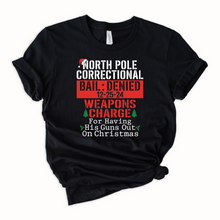  North Pole Correctional Weapons Charge