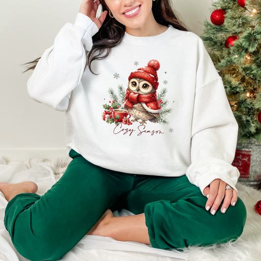 Wholesale Cozy Owl Sweatshirt - White Sweatshirt