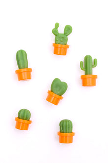  Plant Lover Cacti Magnet Set