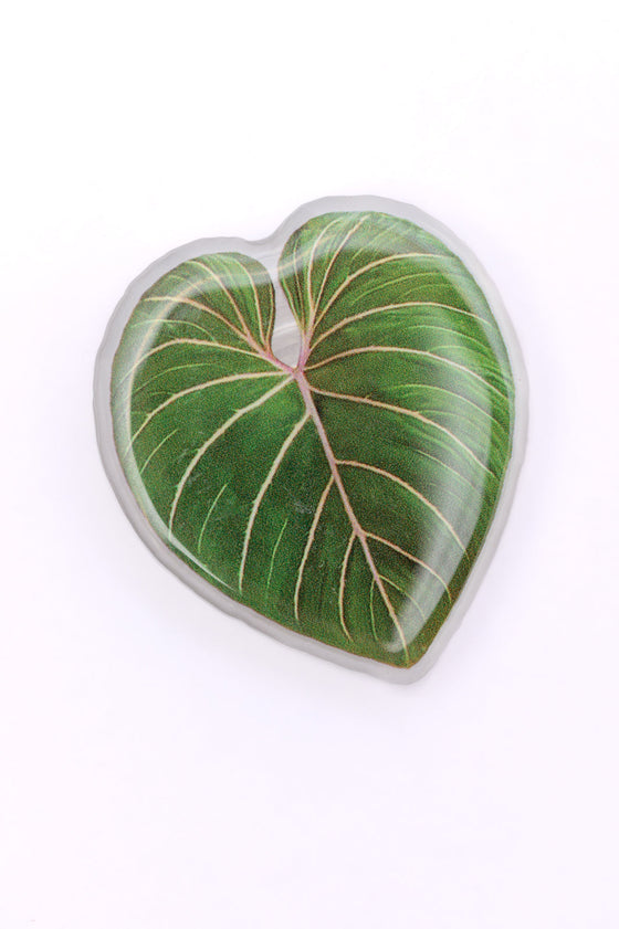 Plant Lover Phone Grip Tropical Leaf