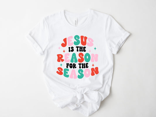 Wholesale Jesus is the Reason Graphic Tee - Sand Tee