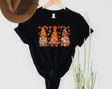  Fall Gnomes
